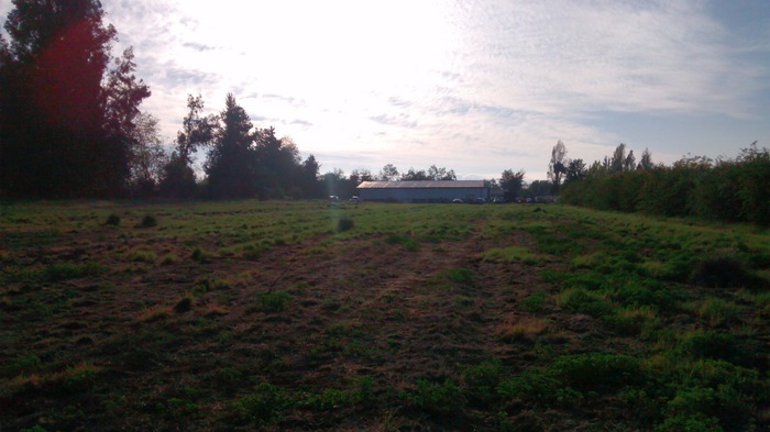 Ver Galería Fotográfica